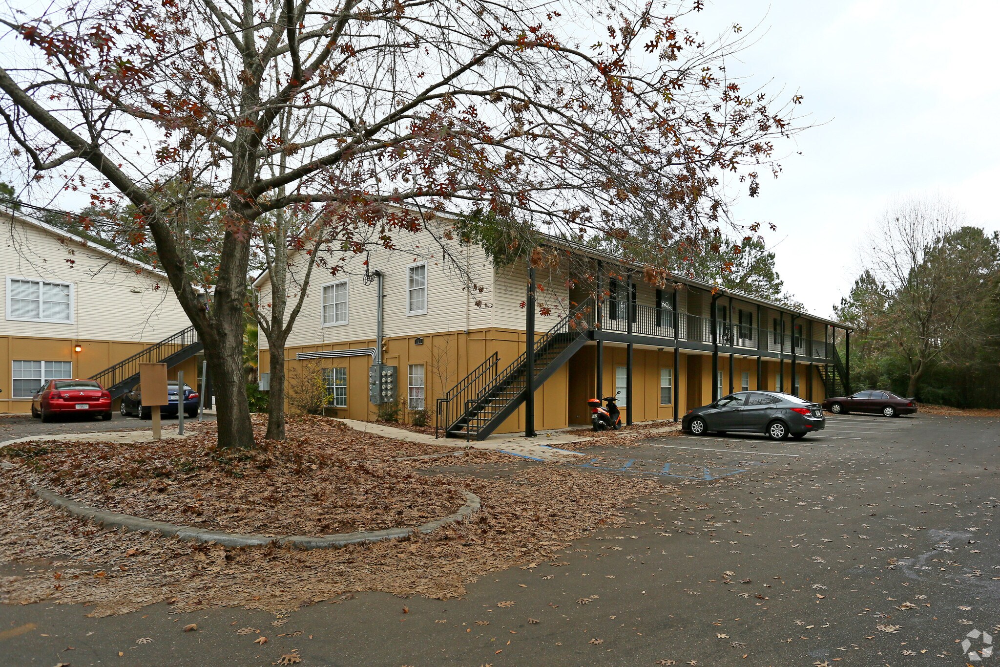 101 Cactus St Tallahassee, FL 32304 MultiFamily Property for Sale on