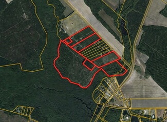 Lumber Bridge, NC Commercial - McNeill Lake Rd