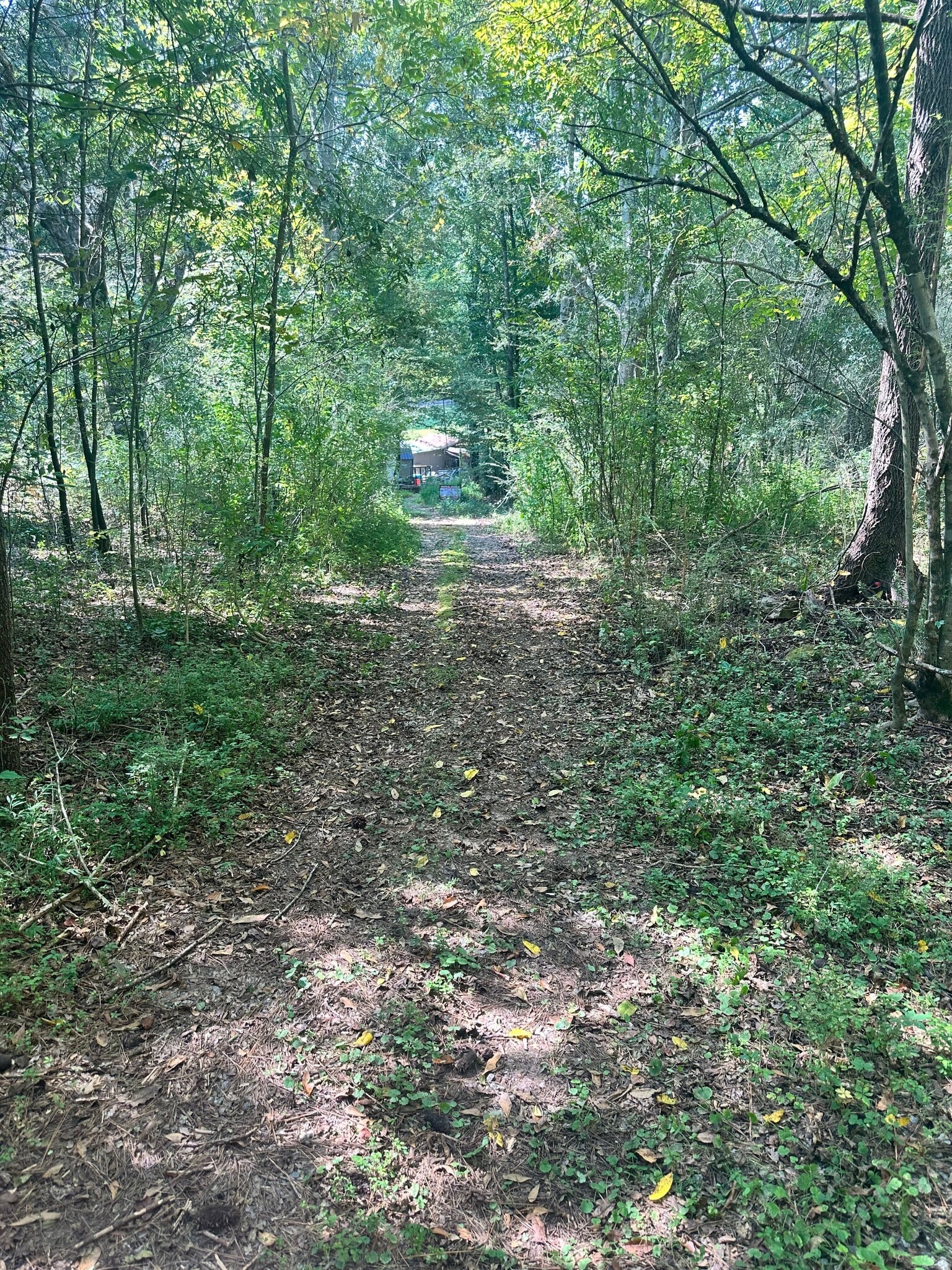 7330 Frix Rd, Cumming, GA for Sale
