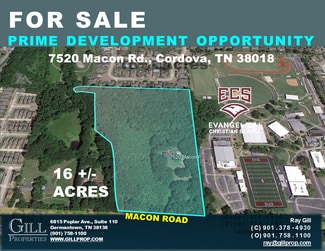 Cordova, TN Commercial - 7520 Macon Rd