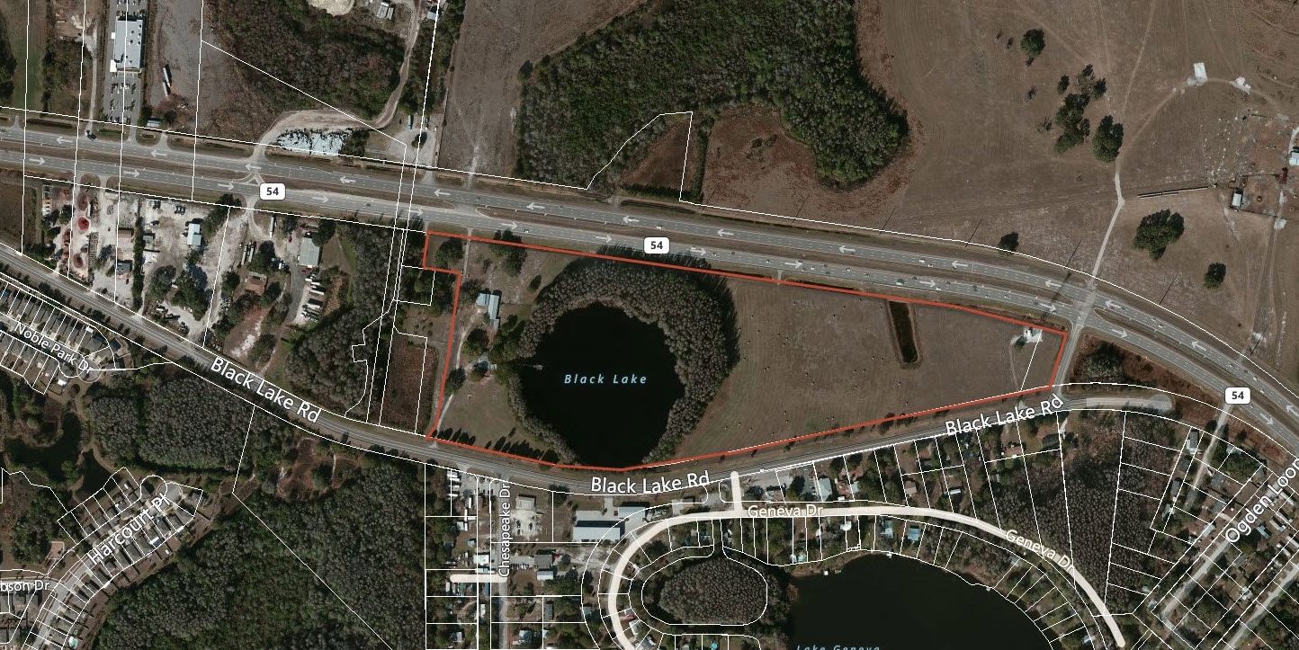 14325 Black Lake Rd, Odessa, FL for Sale