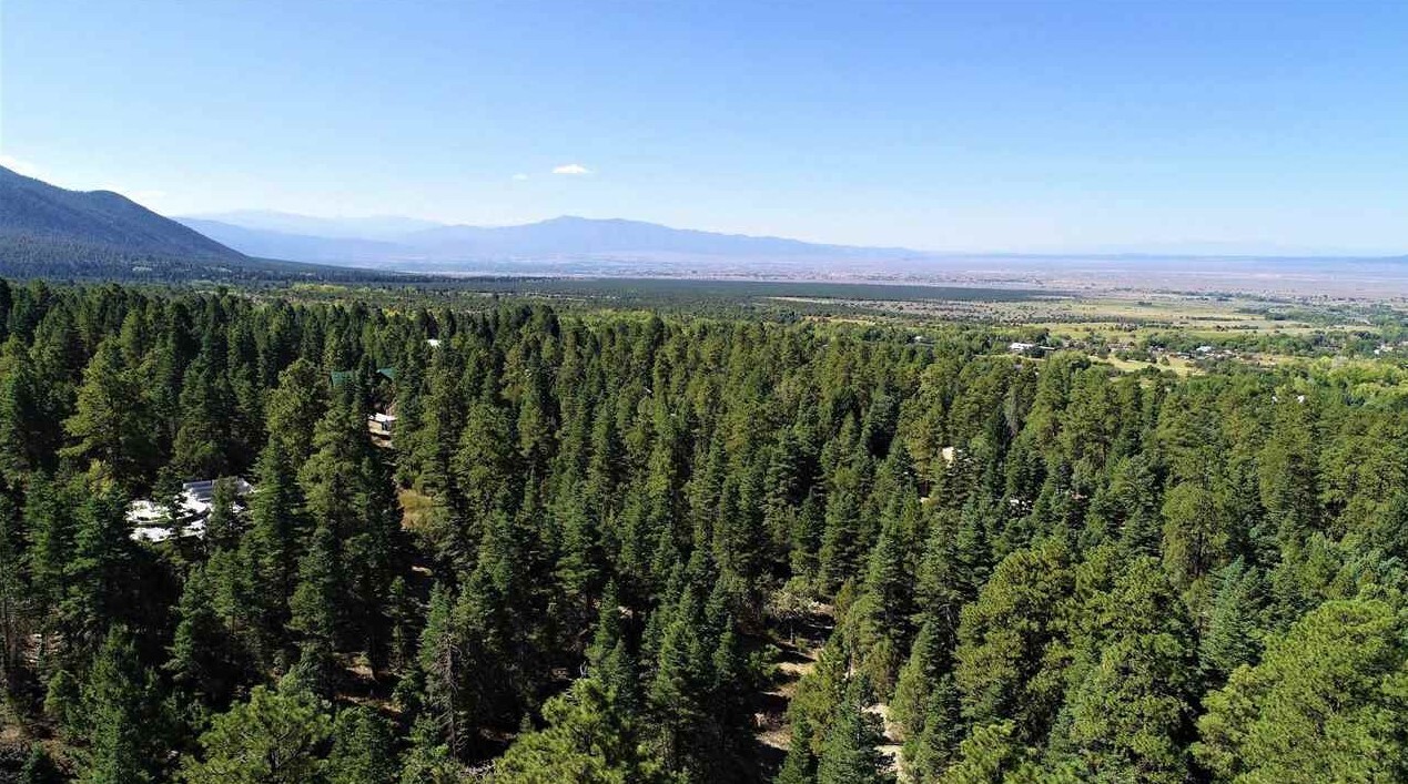 53 Paw a Suki Rd, El Prado, NM for Sale