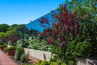 Nassau County Commercial Real Estate For Rent Lease Showcase