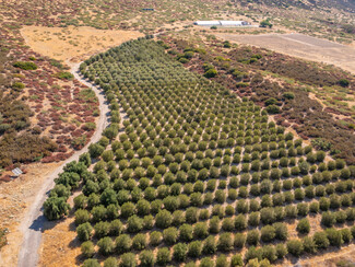 Warner Springs, CA Agricultural - 0 San Felipe Rd