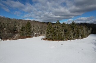 Monticello, NY Residential Land - 118 Hilltop Rd