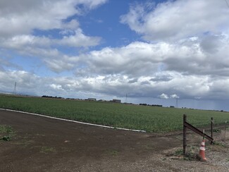 Tracy, CA Agricultural Land - Linne Road @ Banta Road