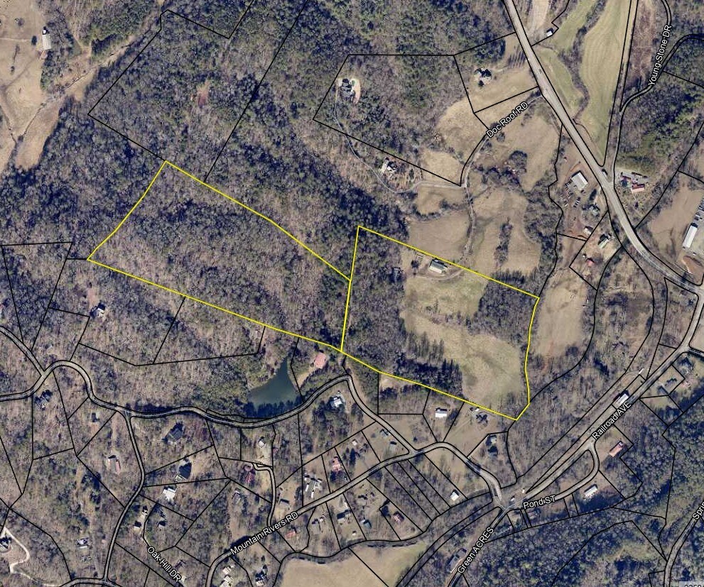 141 Doc Roof Rd, Mineral Bluff, GA for Sale
