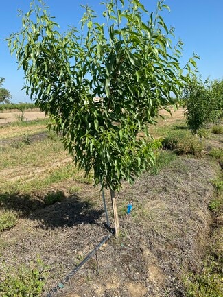 SE Rd 21 Ave 17 1/2 -1  