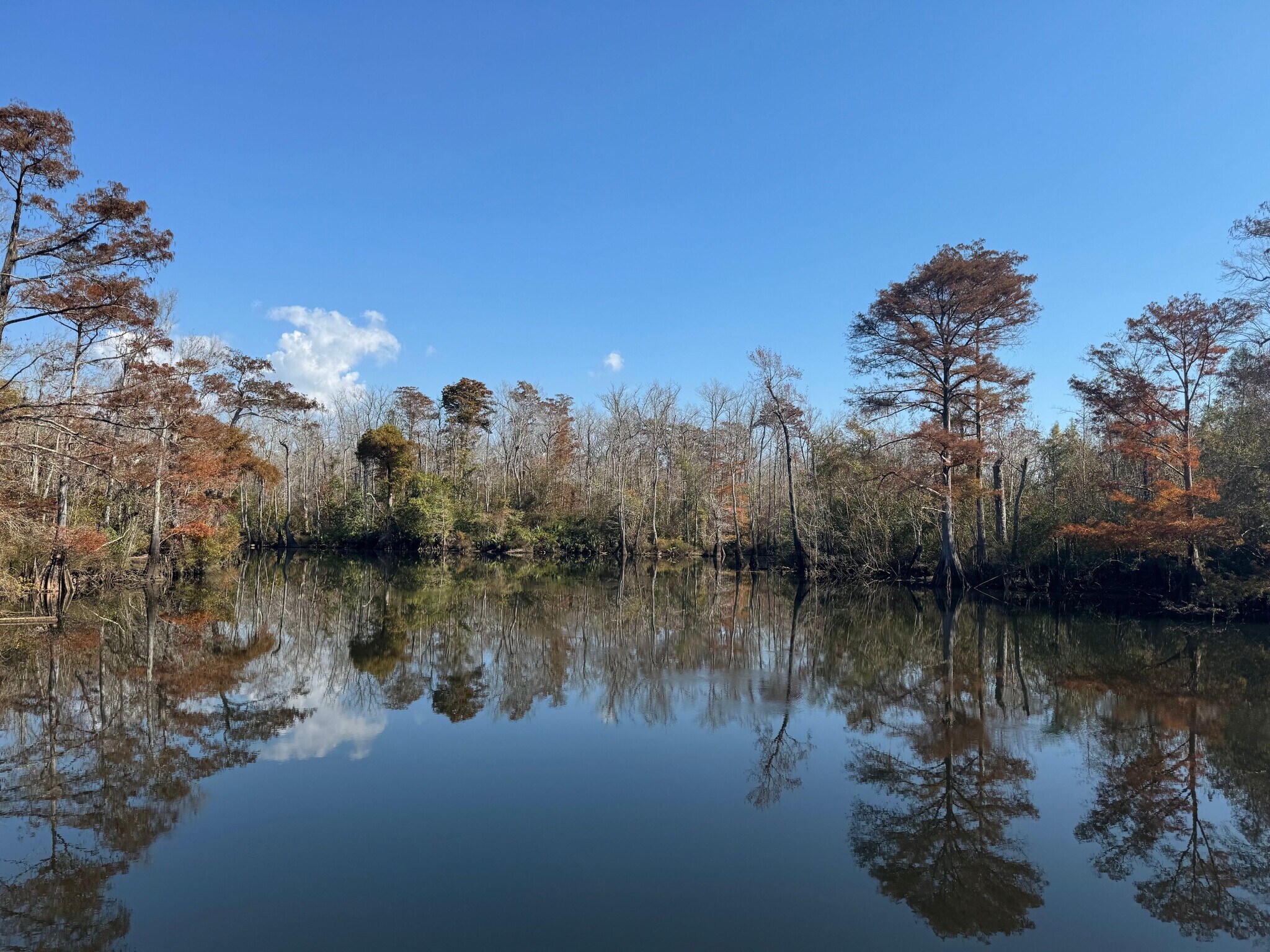 2020 Becks Lake Rd, Cantonment, FL for Sale
