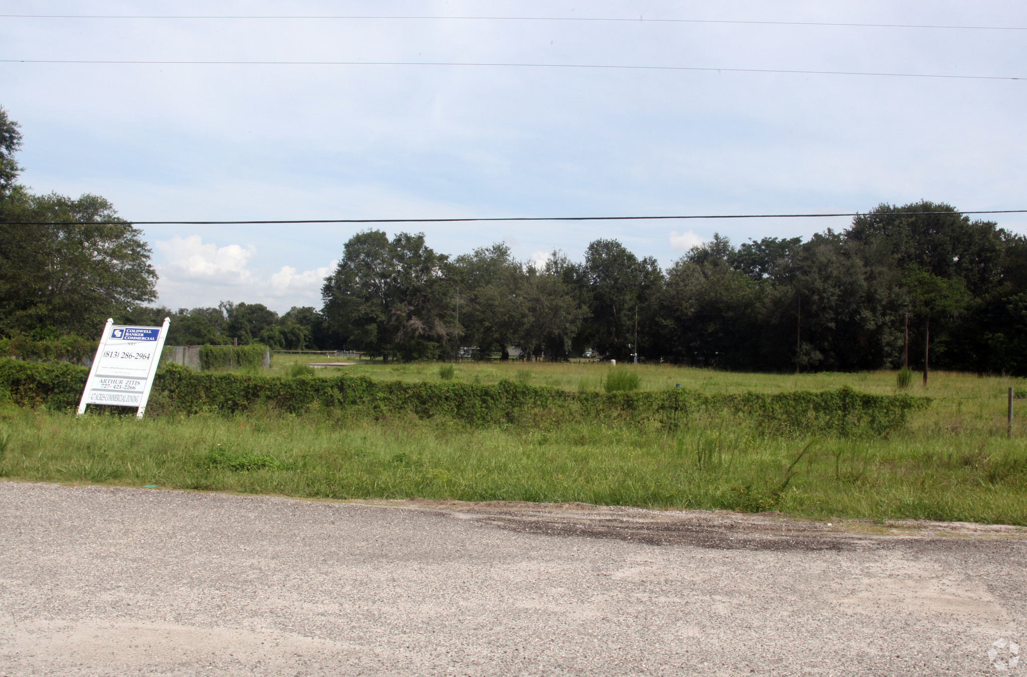 11102 N US Highway 301, Thonotosassa, FL for Sale