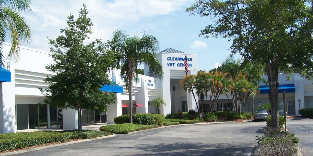 29241-29277 US Highway 19 N, Clearwater, FL for Rent