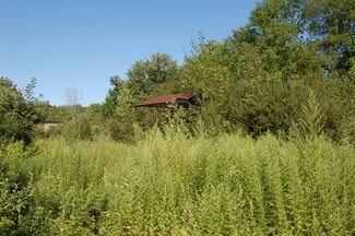 Carmel, NY Commercial Land - 329 Rt 52