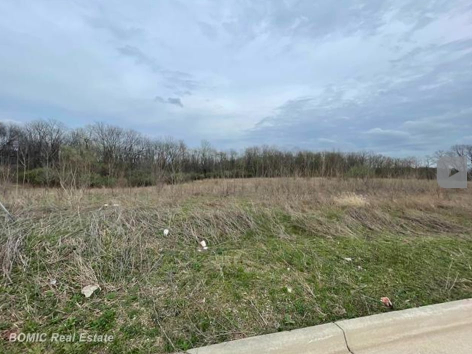 Harvest Park Drive, Dimondale, MI for Sale