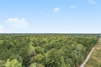 Senoia, GA Residential - GA Hwy 85 S