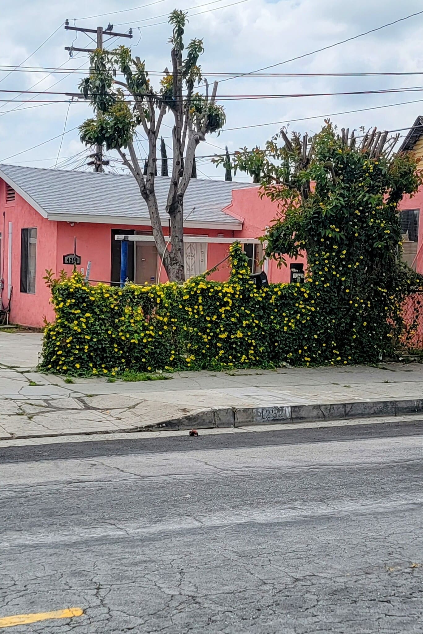 4248 & 4252 Union Pacific ave, Los Angeles, CA for Sale