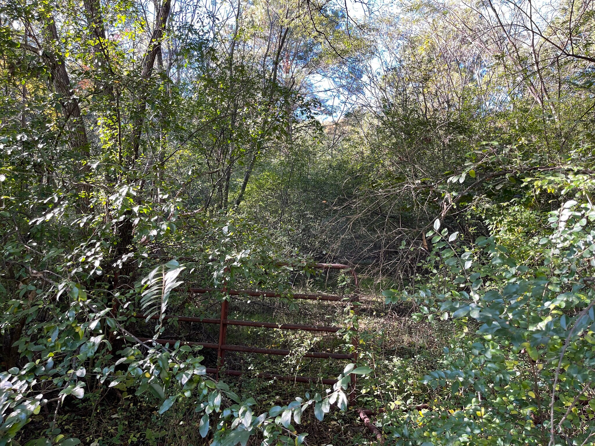 00 Lewis Rd, Cartersville, GA for Sale