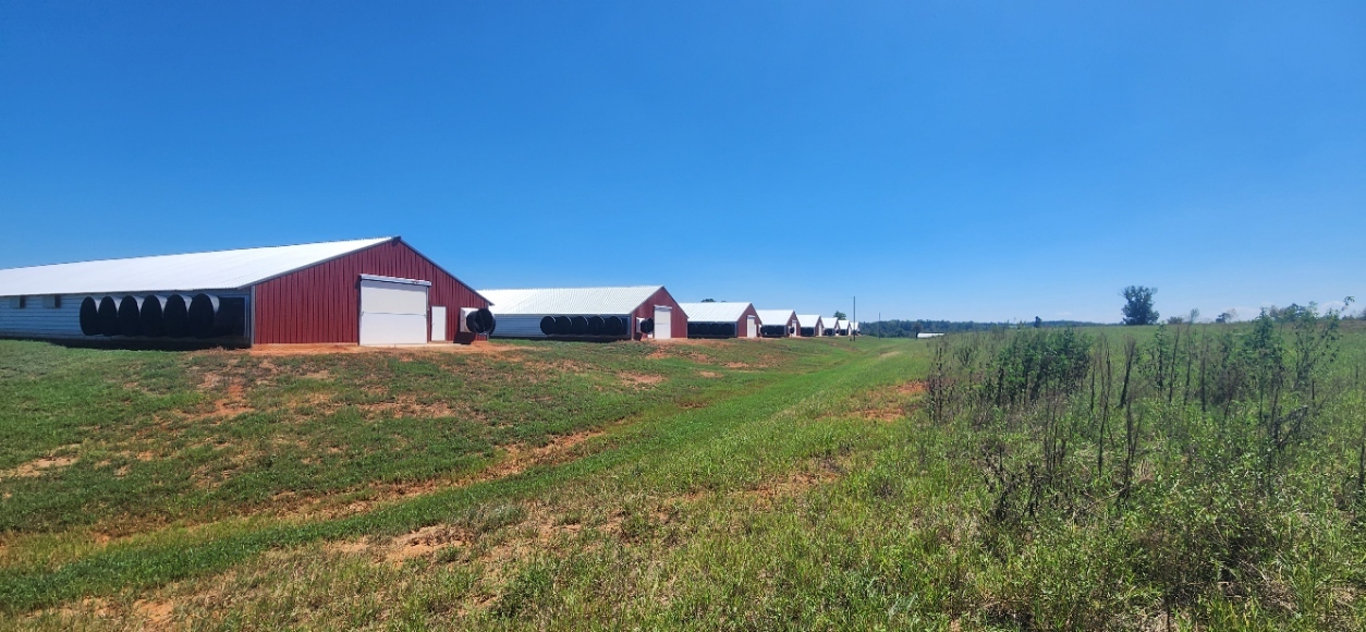 782 County Road 234, Nacogdoches, TX for Sale