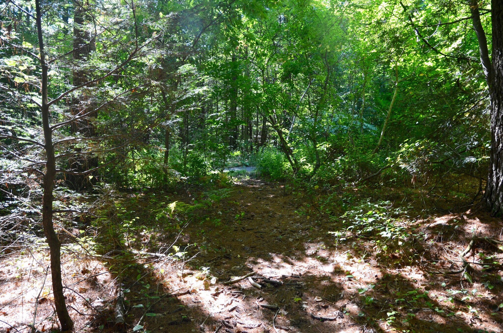 154 Lafayette Salisbury, MA 01952 Land Property for Lease on