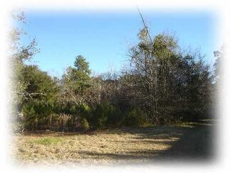 Summerville, SC Commercial Land - 2525 Highway 17A