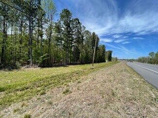 Montgomery, AL Commercial Land - US Highway 231