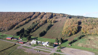 Fabius, NY Commercial Land - 1135 Toggenburg Rd