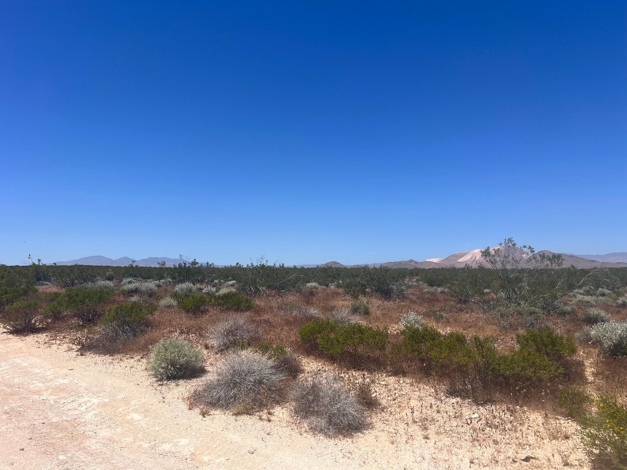Sierra Highway Hl, Rosamond, CA for Sale