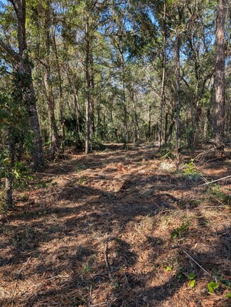 Homosassa, FL Commercial Land - 8330 Grover Cleveland Blvd blvd
