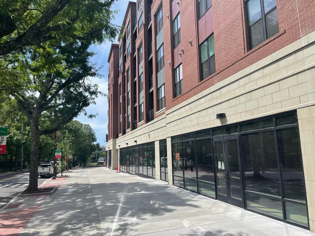 44 Olive Street, New Haven, CT for Rent
