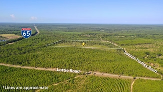Perdido, AL Commercial - 23799 LONNIE HADLEY Rd