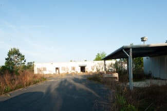 Glennville, GA Agricultural - County Road 425 Near Ivy Durrence Road
