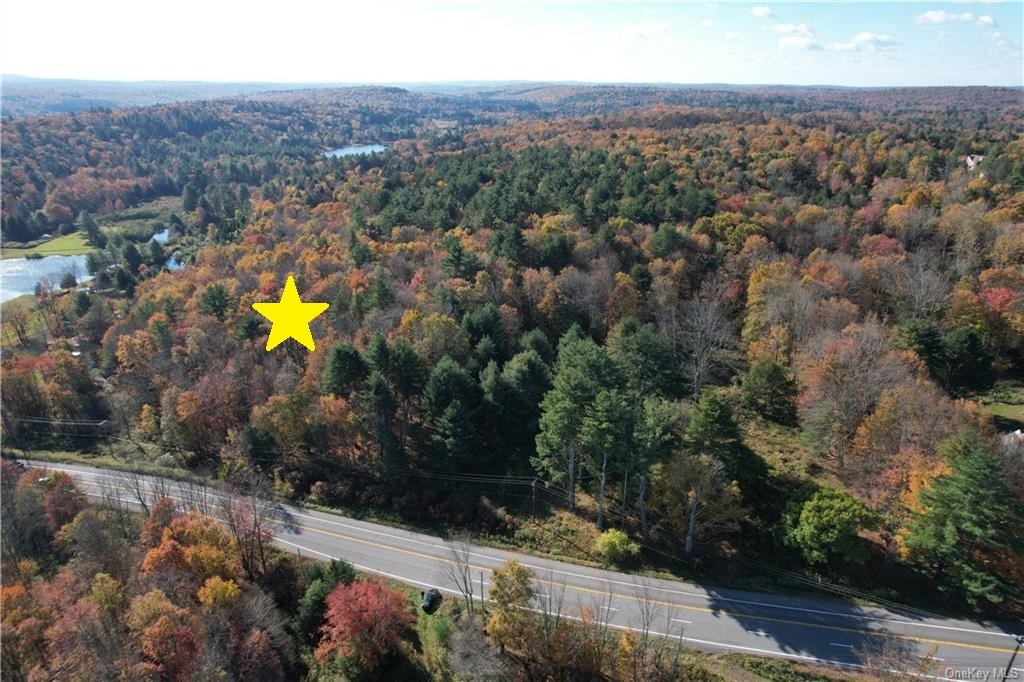 1195 State Route 17B, Bethel, NY for Sale