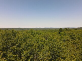 Parksville, NY Residential Land - 1 Snow Hill Rd
