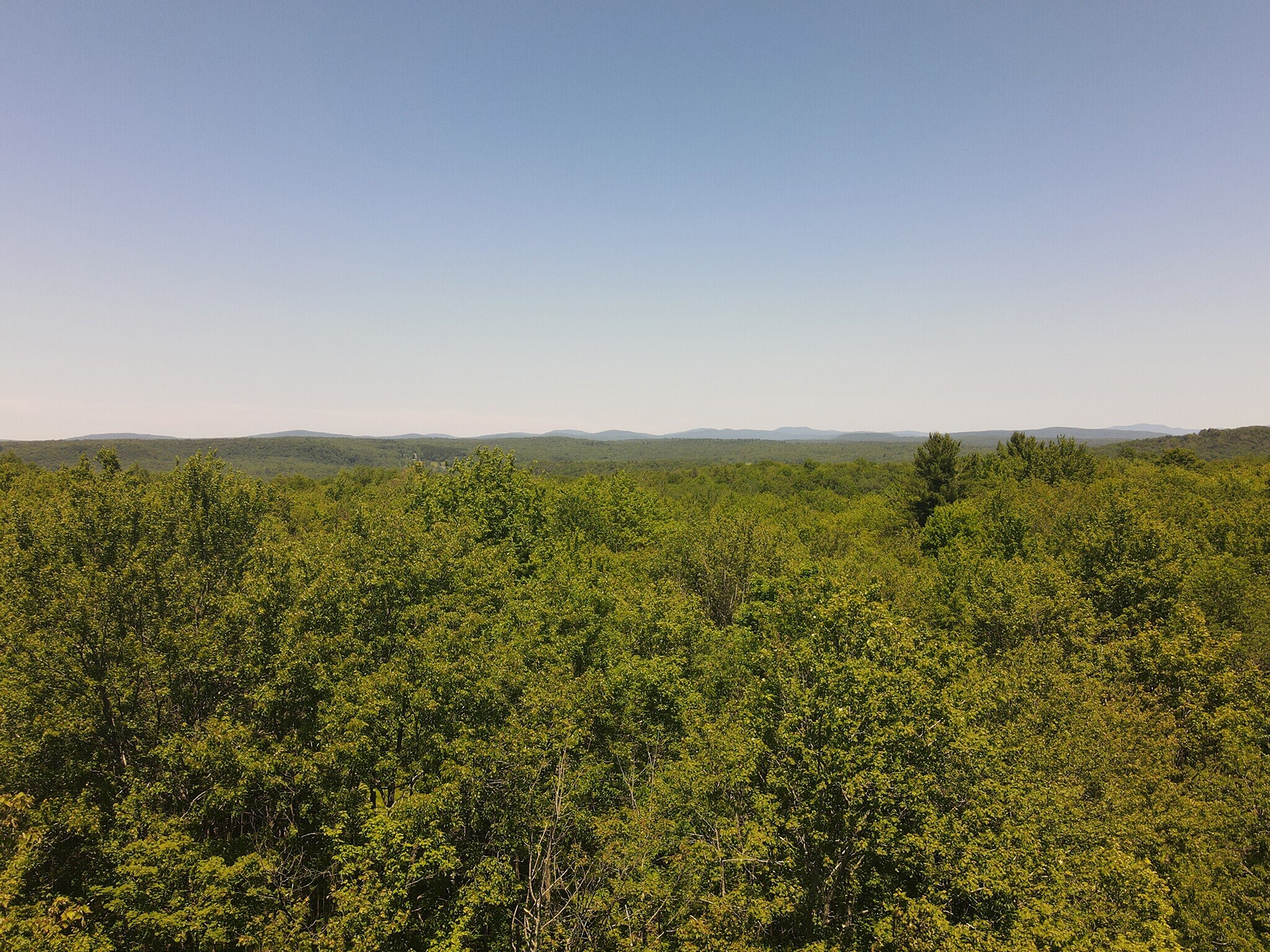1 Snow Hill Rd, Parksville, NY for Sale