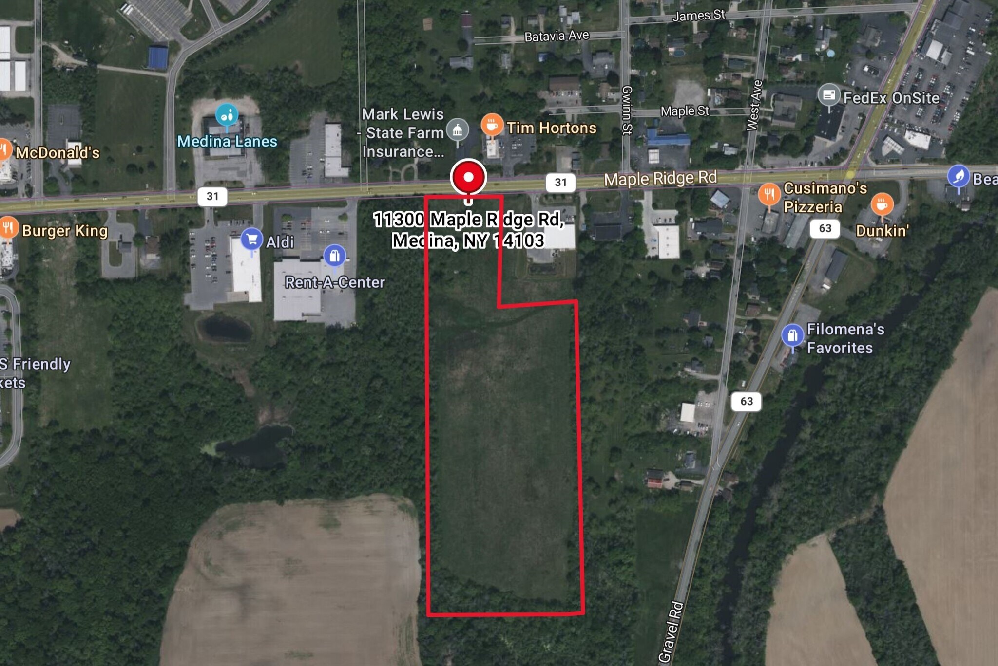 11300 Maple Ridge St, Medina, NY for Sale