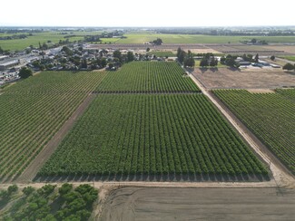 Lodi, CA Agricultural - 17490 N Bruella Rd