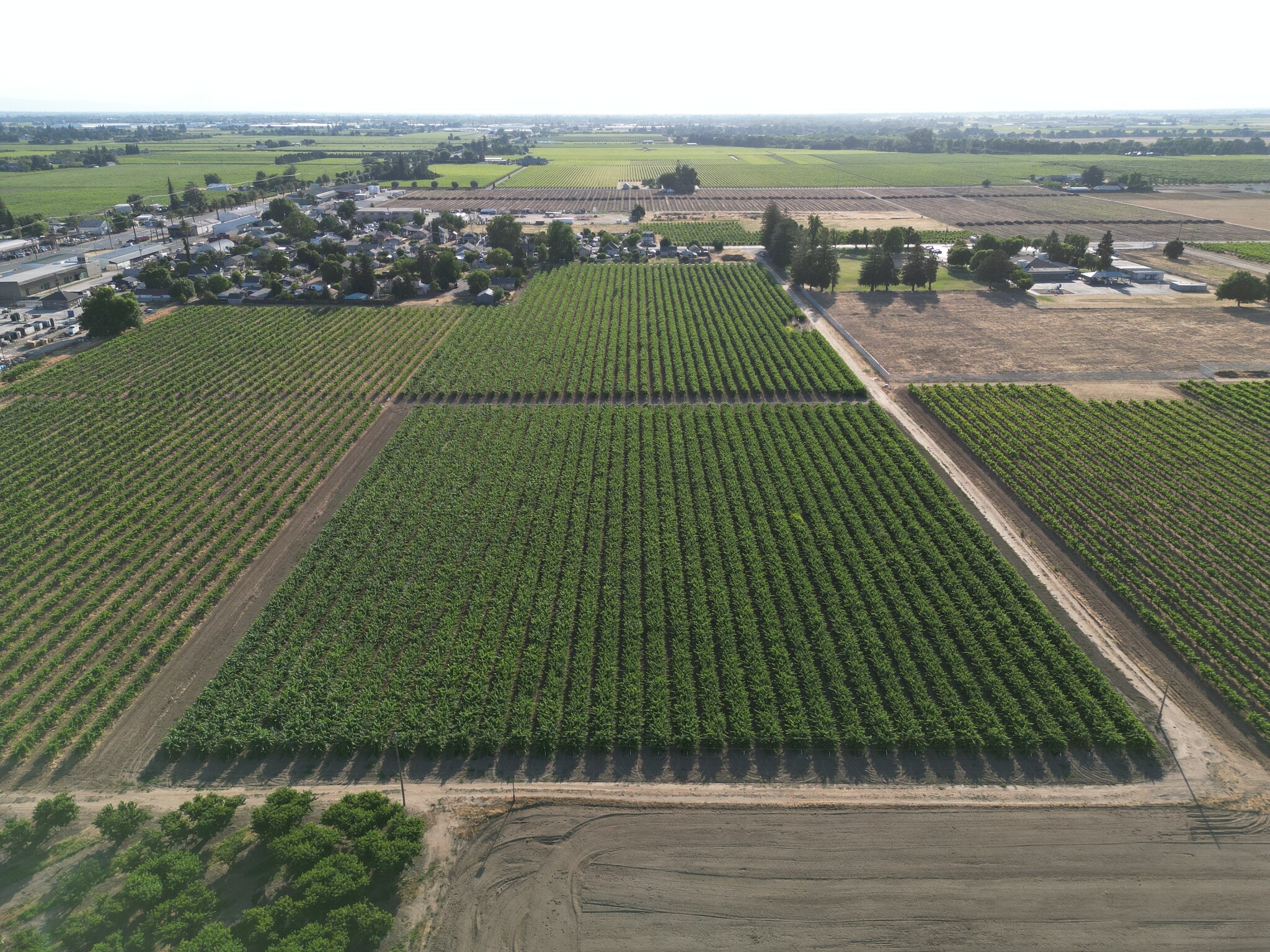 17490 N Bruella Rd, Lodi, CA for Sale