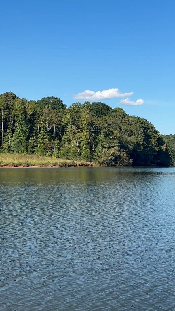 229 Acres Mellrich Rd @ Audubon Place, Iva, SC for Sale