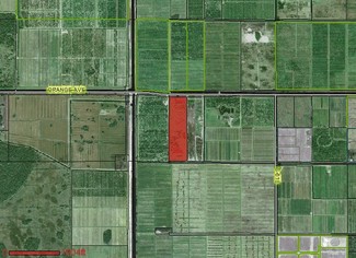 Fort Pierce, FL Agricultural Land - 21001 Orange Ave