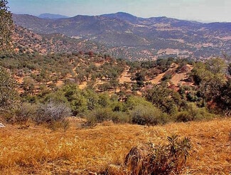 Yokuts Valley, CA Agricultural - 38176 Cardinal