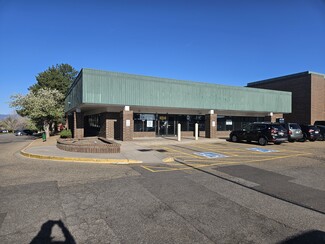 Centennial, CO Storefront Retail/Office - 8239 S Holly St