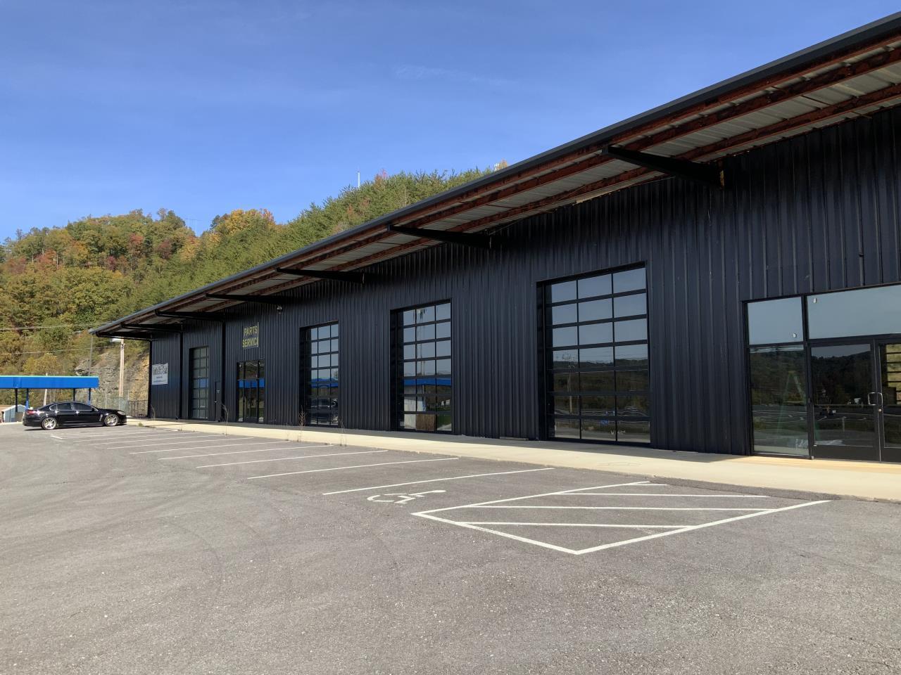 141 Luther Seiber Blvd, Pioneer, TN for Sale