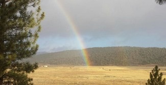 Big Bear City, CA Residential - 2805 Cedar Big Bear City, CA Residential - 2805 Cedar