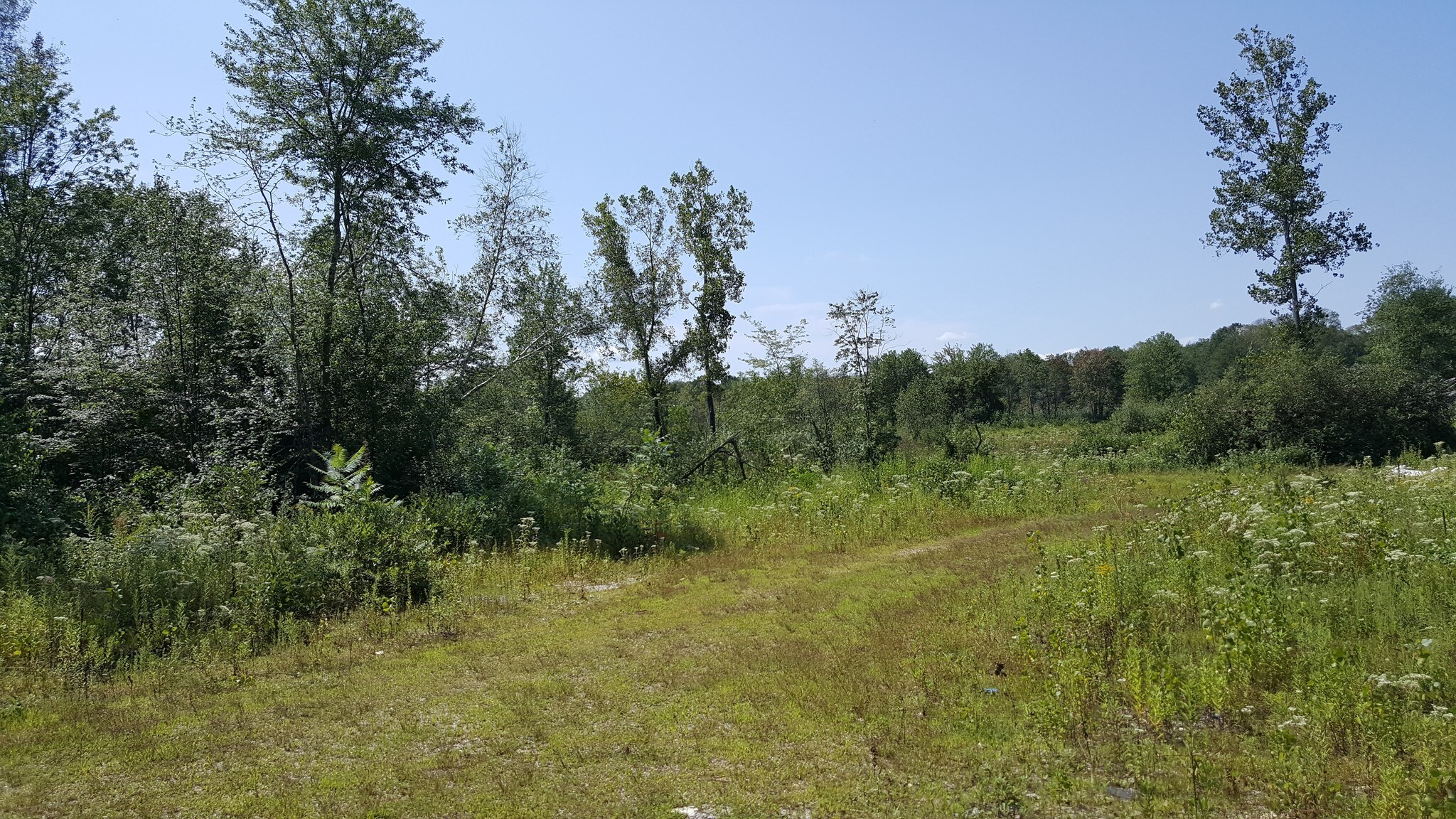 00 Old Amston Rd, Colchester, CT for Rent
