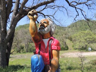 Coarsegold, CA undefined - 35880 Highway 41