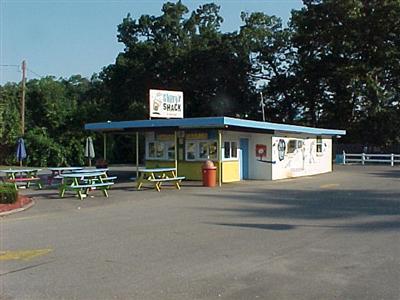 919 Marshall St, Allegan, MI for Sale