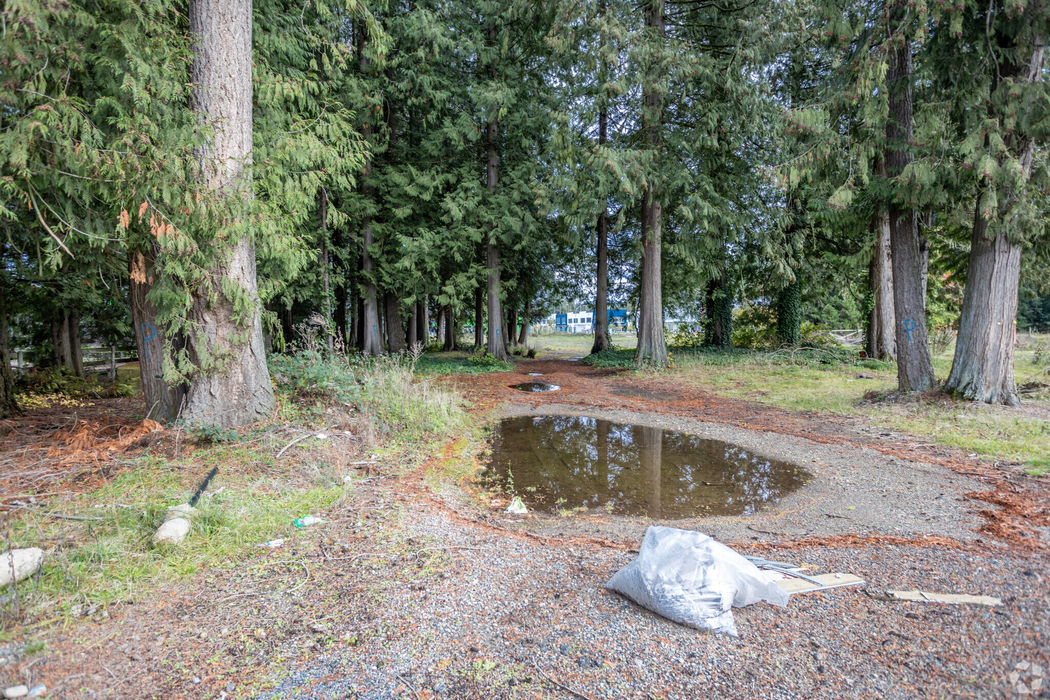 3452 194 St, Surrey, BC for Rent