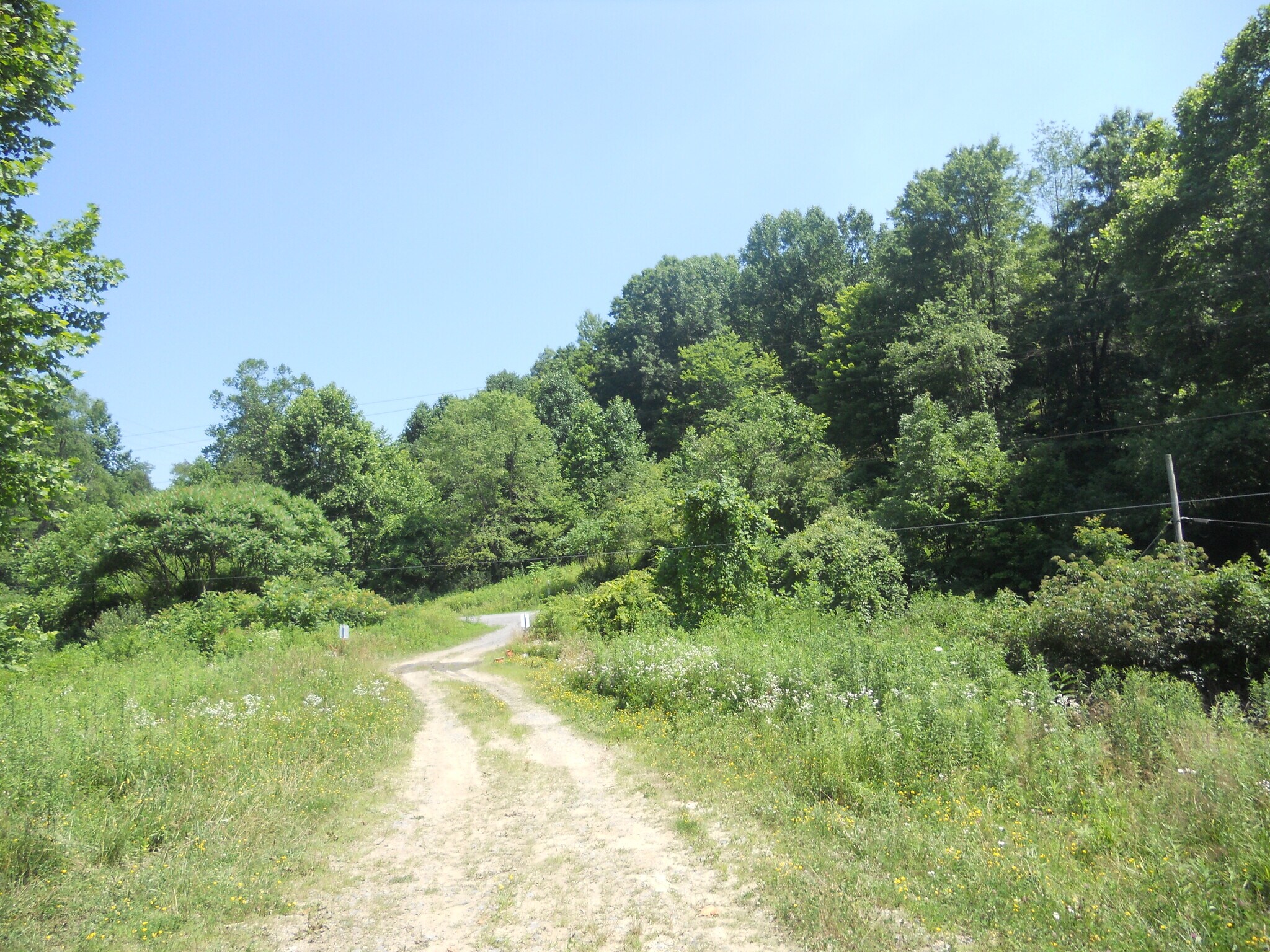 595 Wades Run Rd, Morgantown, WV for Sale