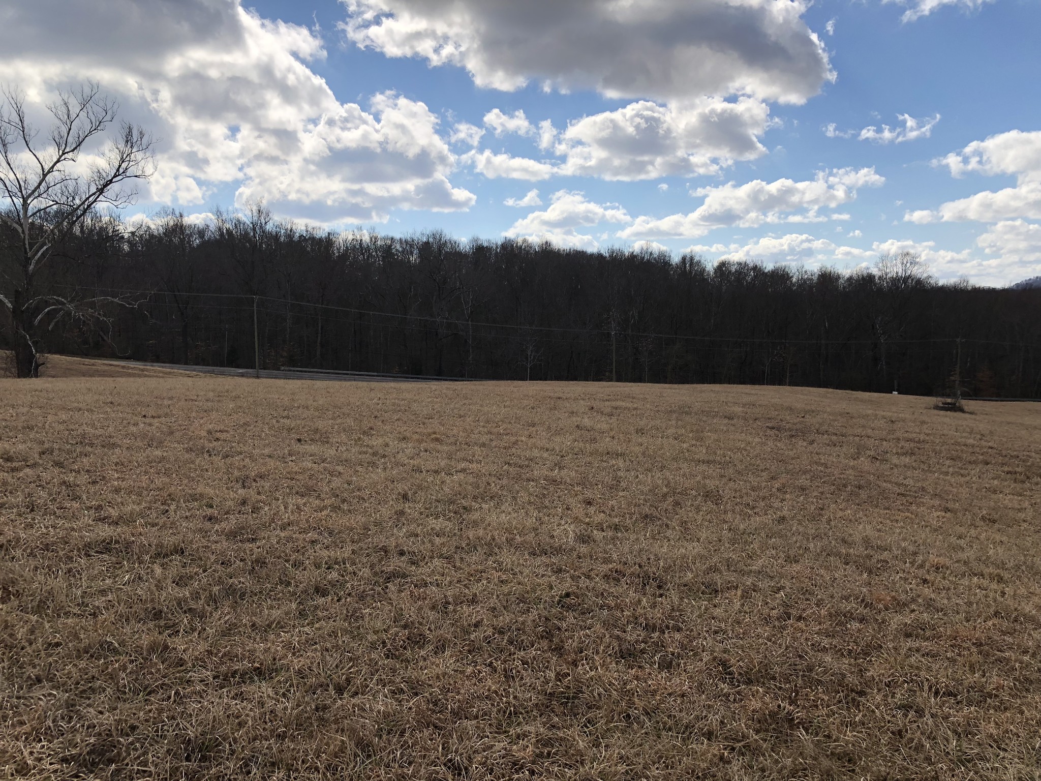 Brockman Park Drive, West & East Commerce St, Amherst, VA for Sale