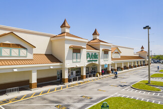 Tampa, FL Retail - 8975 Race Track Rd