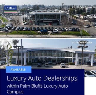 Luxury Auto Dealerships